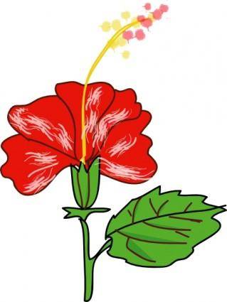 Flower Hibiscus clip art