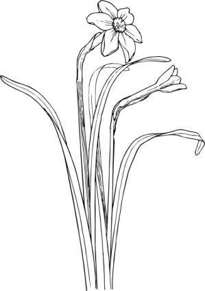 Flower Plant Stem Bush clip art