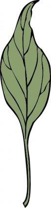 Ivy Leaf clip art
