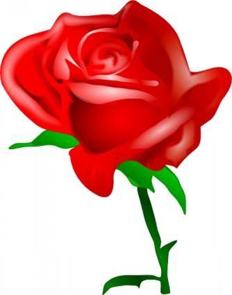 Red Rose clip art