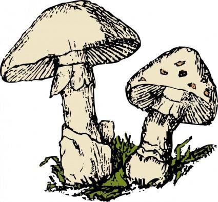 Two Mushrooms clip art