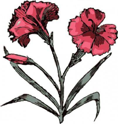 Carnation clip art