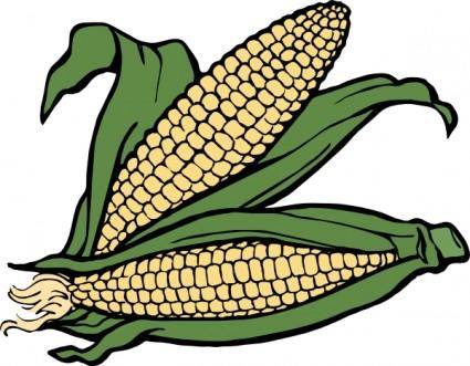 Corn  clip art