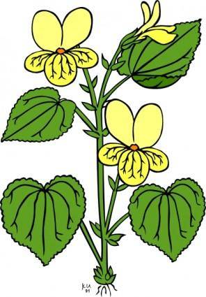 Floral Plant With Green Leaves clip art