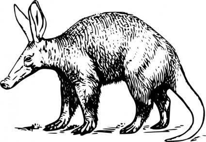 Aardvark clip art