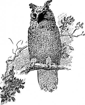 Owl  clip art