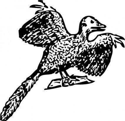 Archaeopteryx clip art