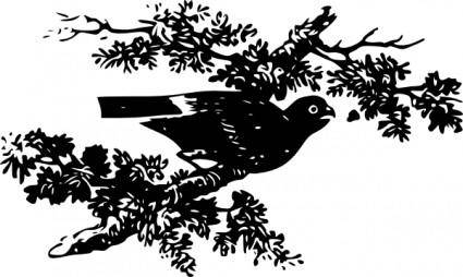 Bird On A Branch clip art