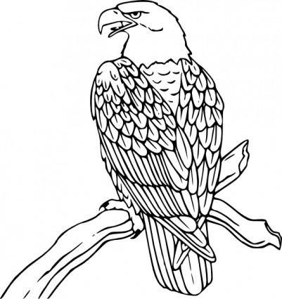 Bald Eagle clip art