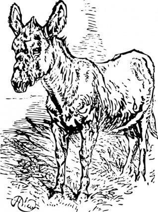 Old Donkey clip art