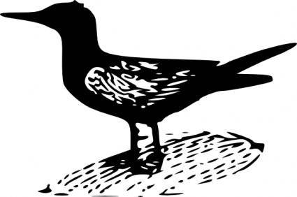 Black Tern clip art