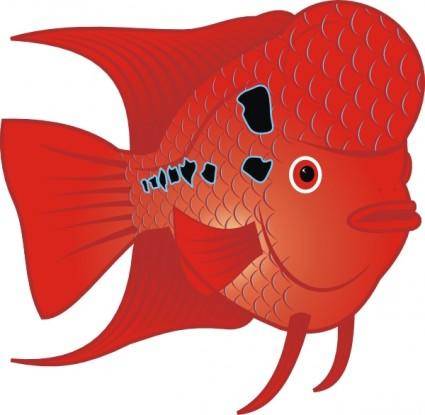 Danz Flowerhorn Fish clip art
