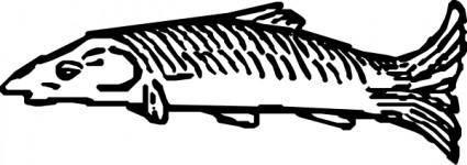 Fish clip art