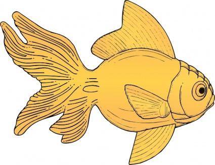 Golden Fish clip art
