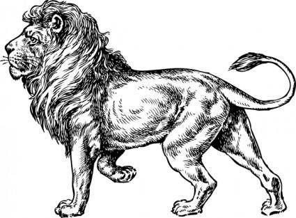 Lion clip art