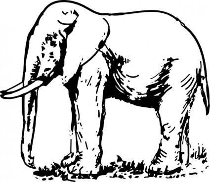 Elephant Drawing clip art