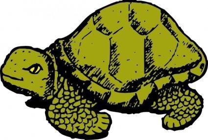 Tortoise clip art