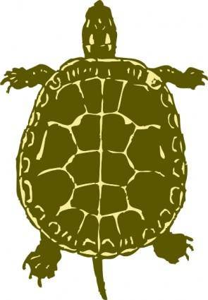 Turtle clip art