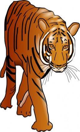 Color Tiger clip art