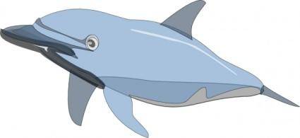 Dolphin clip art