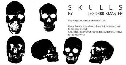 Skull vectors