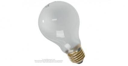 Light bulbs vector
