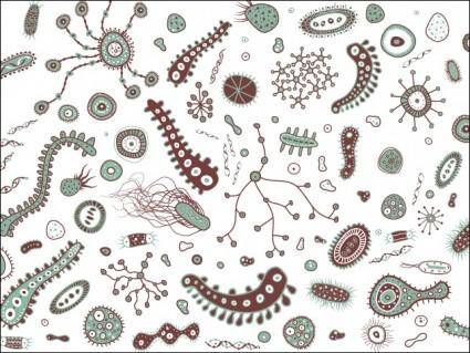 
								Bacteria and Viruses Vector							