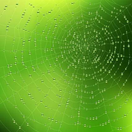 Spider web background 03 vector