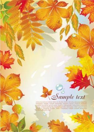 Beautiful maple leaf background 02 vector