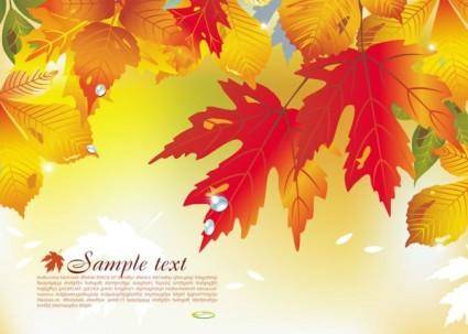 Beautiful maple leaf background 04 vector