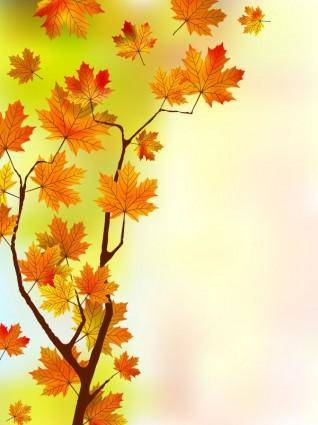 Beautiful maple leaf background 04 vector