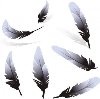 Feather 01 vector