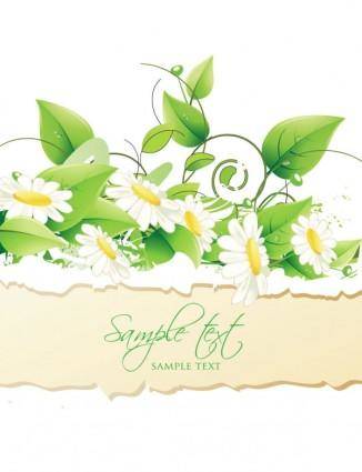 Beautiful flowers background 01 vector