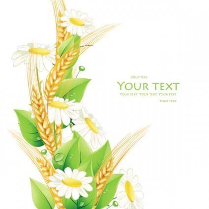Beautiful flowers background 03 vector