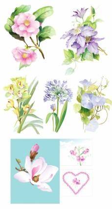 7 elegant watercolor flowers vector
