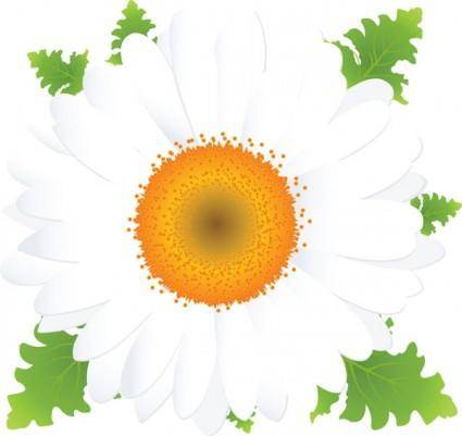 Beautiful small flowers vector 2