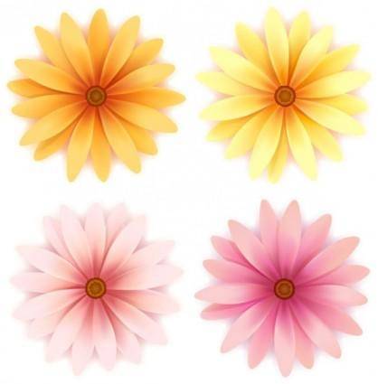 Beautiful small flowers vector 3