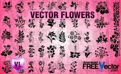 Free Vector Flowers