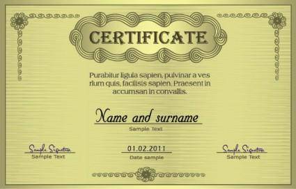 European certificate 04 vector