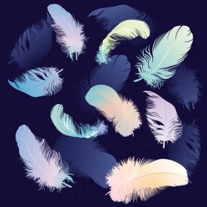 Feathers 04 vector