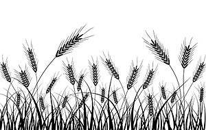Wheat silhouette vector