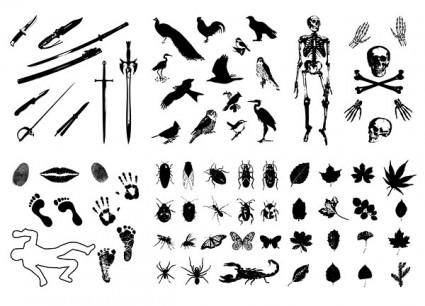Skeleton leaves insects birds imprint sword silhouette vector