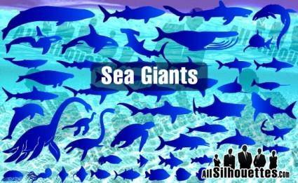 Sea & Ocean Giants