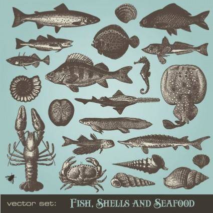 Seafood animals vector