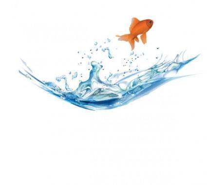 Goldfish vector 5
