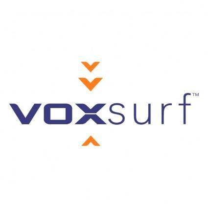 Voxsurf limited