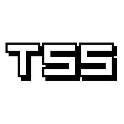 download lego tss for free