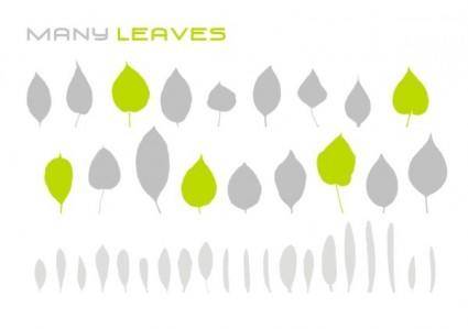 Various leaves vector