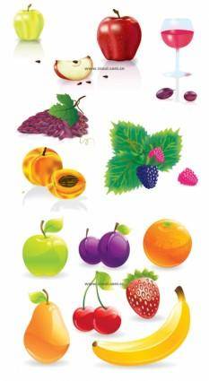 Several common fruits vector
