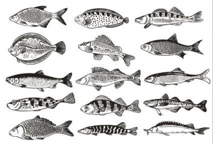 Germany fish monochrome illustrations vector